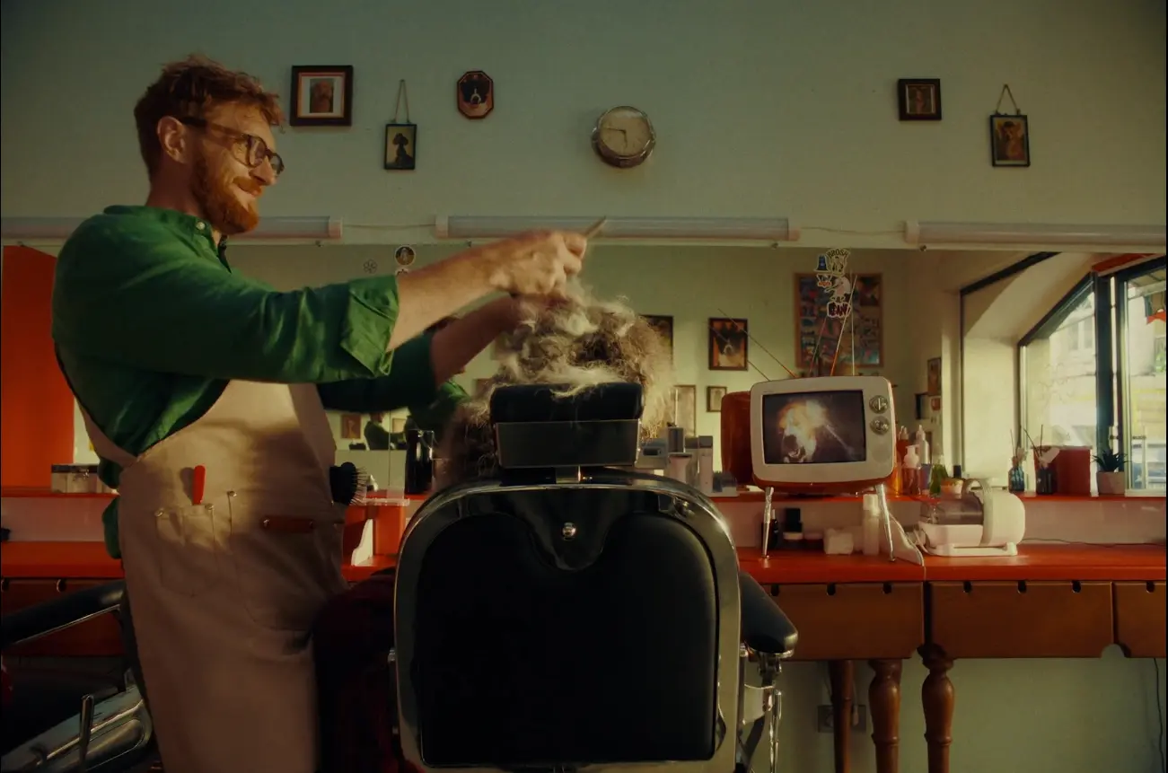 Director of photography