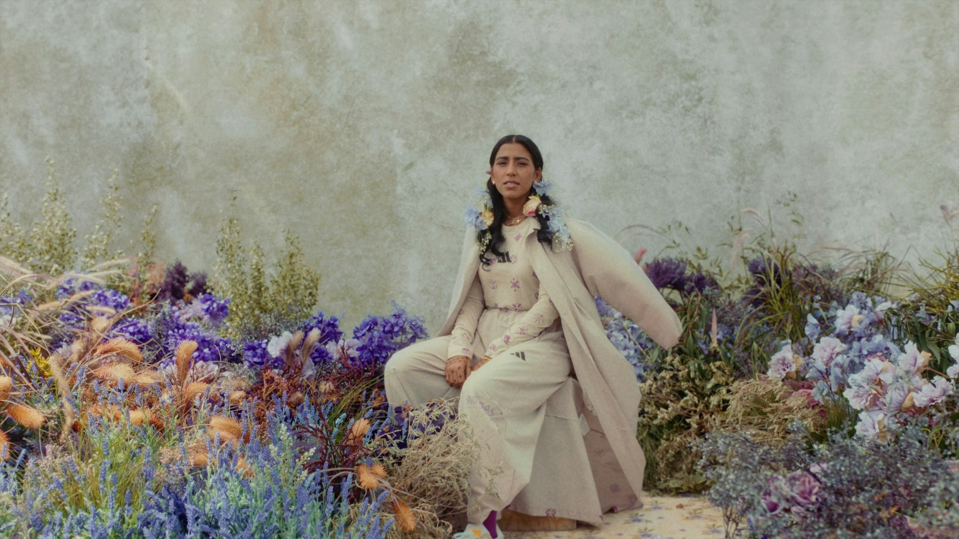 Director of photography