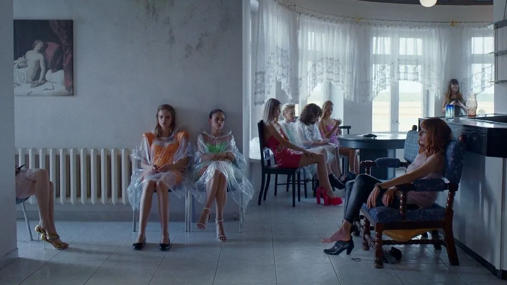 Director of photography