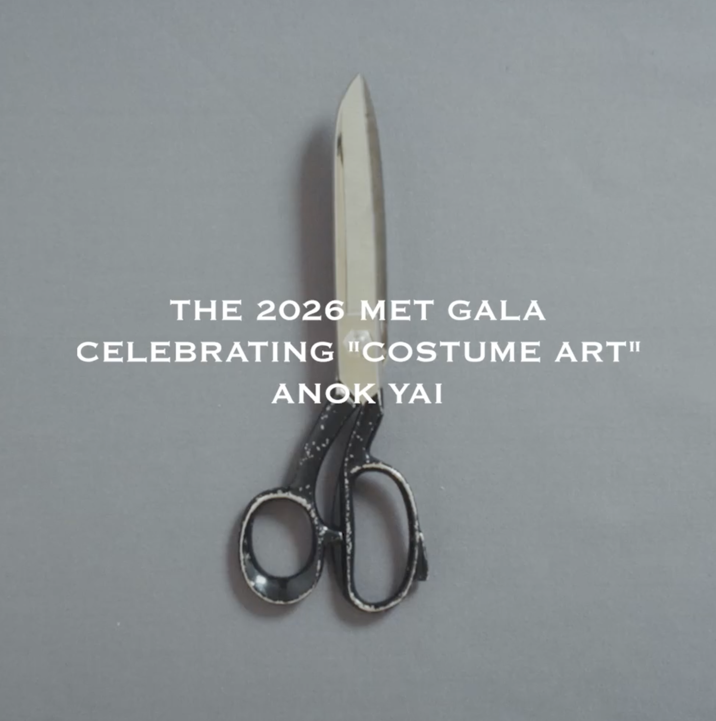 The 2026 Met Gala, Anok Yai 