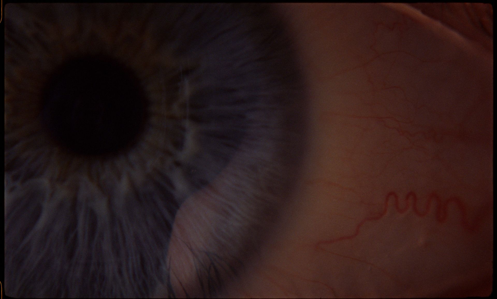 The Bearers of Memories (Dir. Miglė Križinauskaitė, 2020)