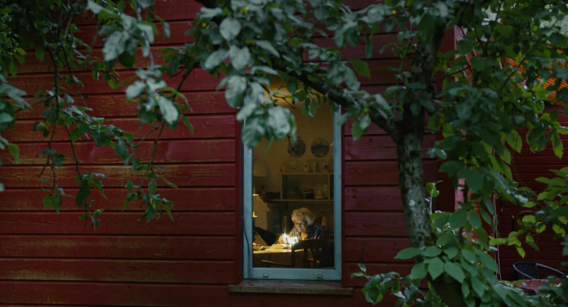 My 80 Springs (Dir. Agnese Laizāne, 2025)