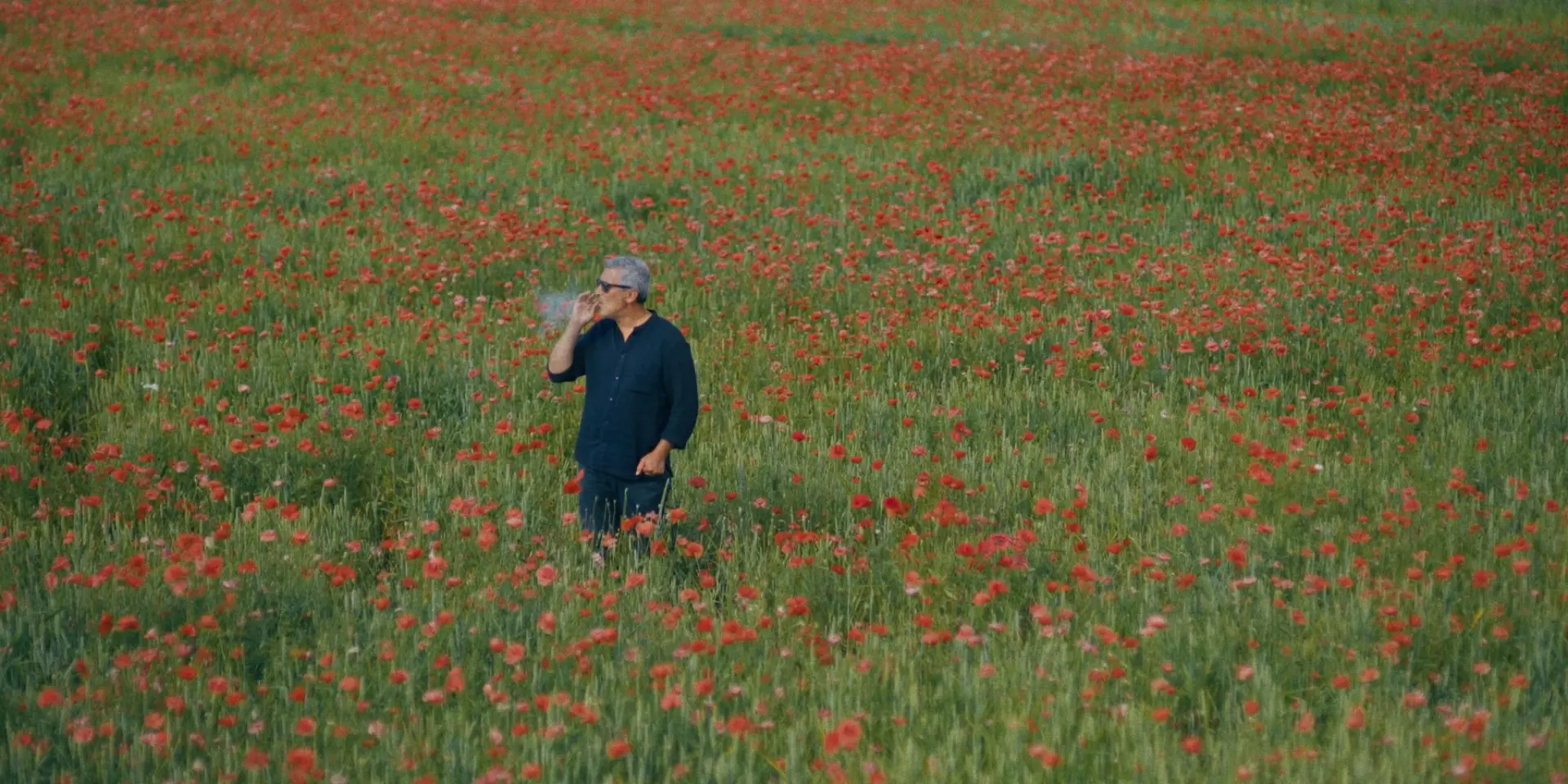 Director of photography